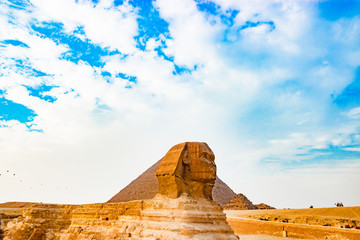 The sphinx in Cairo, Egypt