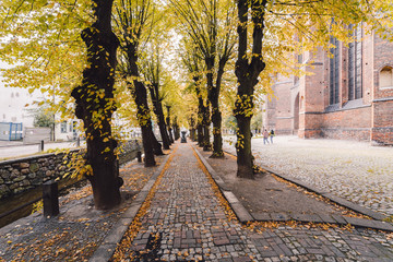 sidewalk in city during autumn