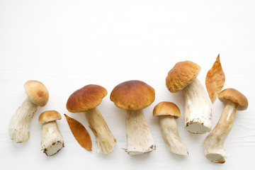 Forest cepes on a white surface of a table, close up. Autumn fresh boletus mushrooms.