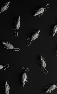White rats/mouses on black background/toy replica