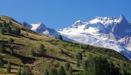 Paysage de montagne avec glacier et transhumance des moutons