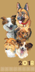 Postcard with dogs of different breeds-2