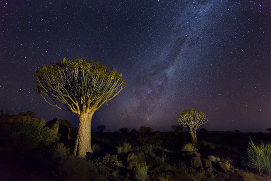 Quiver Trees with milky way at Giants Playground, Keetmanshoop,