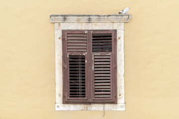 Fototapeta na wymiar altes Fenster mit braunen Fensterladen in einer gelben Wand und eine sitzende Taube