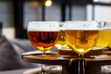 Different varieties of red beer poured in glasses.