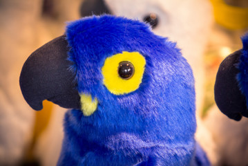 Soft toy parrot © robertdering