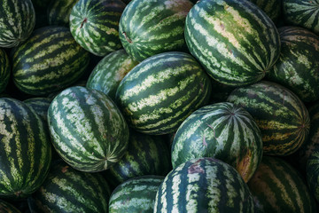 Group of big sweet green watermelons
