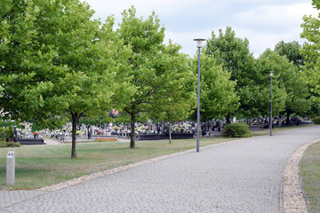 Alejka na polskim cmentarzu.