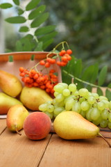 Pears, peach, green grapes, rowan berries in a wooden box on a wooden table in the woods at the time of harvesting