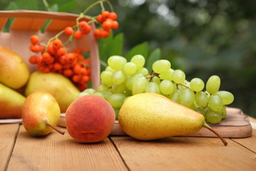 Pears, peach, green grapes, rowan berries in a wooden box on a wooden table in the woods at the time of harvesting