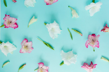 Beautiful pink gladiolus flower buds on pastel blue background. Flat lay, top view.