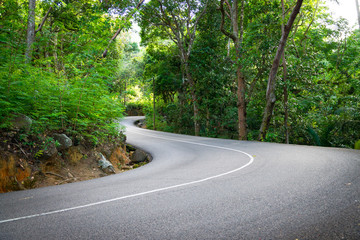 Fototapeta premium Beautiful asphalt road in palm jungle.