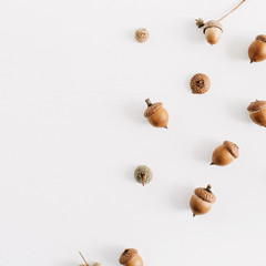 Acorns collage. Flat lay autumn fall minimal concept.