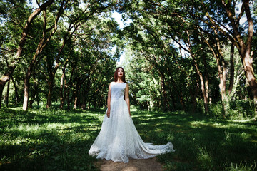 Woman or girl, a bride in a white wedding dress, stands in the middle of a forest or park, a mysterious photo