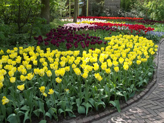 Tulip Gardens Keukenhof Holland