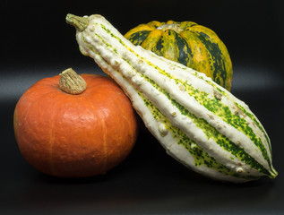 Pumpkins Trio