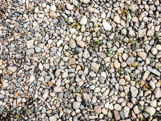 River stones with leaves texture