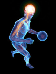 3d rendered medically accurate illustration of basketball players brain