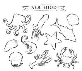 Seafood hand drawn vector illustrations isolated on white background, elements for restaurant menu design, decor, label. Grunge contours of sea animals.