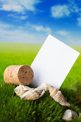 Korek i muszelki na łące z wizytówką © Magdalena