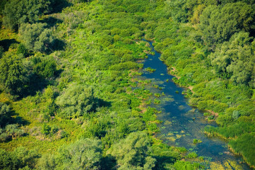 Fototapeta na wymiar Aerial view of forest during