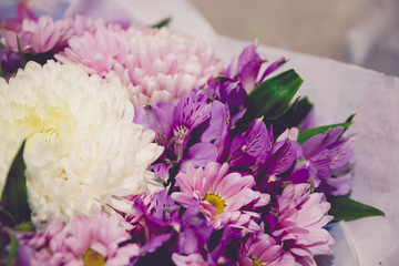 purple and white chrysanthemums and asteria bouquet close-up