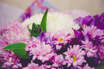 purple and white chrysanthemums bouquet close-up