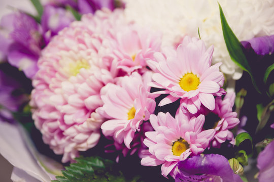 purple and white chrysanthemums and asteria bouquet close-up