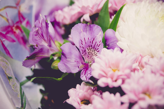 purple and white chrysanthemums and asteria bouquet toned image