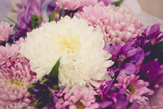 purple and white chrysanthemums and asteria bouquet toned image