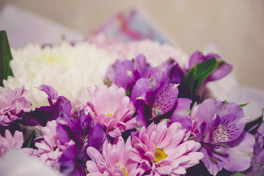 purple and white chrysanthemums and asteria bouquet toned image