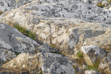 Rocky Countryside Landscape, Maldonado, Uruguay