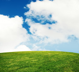 summer grass lawn with sky