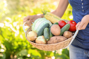Young woman holding basket with ripe vegetables in garden