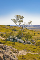 Rocky Countryside Landscape, Maldonado, Uruguay
