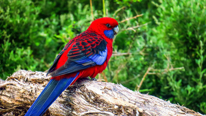 Exploring Wilson Promontory near Melbourne
