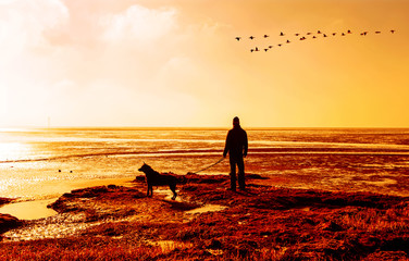 Mann mit Hund allein an der Nordseeküste, Wattenmeer beim Sonnenuntergang