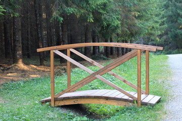 Wood bridge in a forest