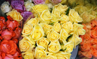 Close up on bouquets of colorful roses