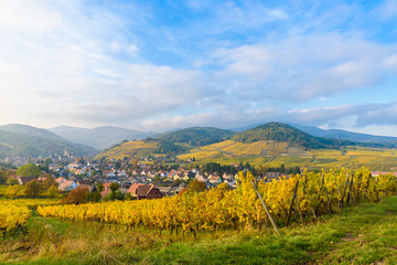 Village of Barr in Vineyard landscape in region Alsace, France © Simon Dannhauer