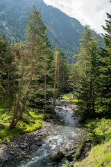 Rivière vallée du Rioumajou Pyrénées France