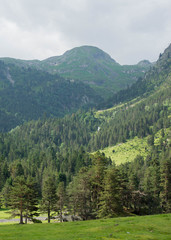 Fototapeta na wymiar Vallée du Rioumajou Pyrénées France