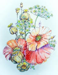  flowers watercolor illustration, paintings