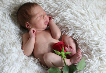 Portrait of cute sleeping newborn baby with red rose on white  blanket.