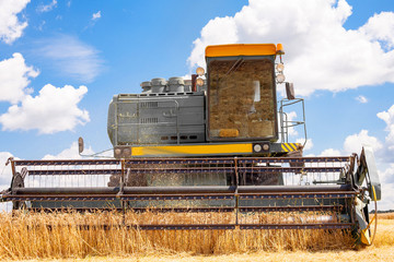Combine machine is harvesting oats on farm field. combine harvester working on a wheat field....
