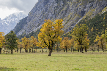 Herbst im Karwendelsteingebirge