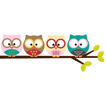 owls on a branch 
