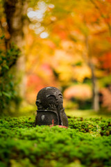 Abstract soft focus with colorful autumn leaves