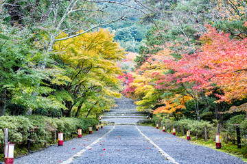 Japan Autumn Itinerary