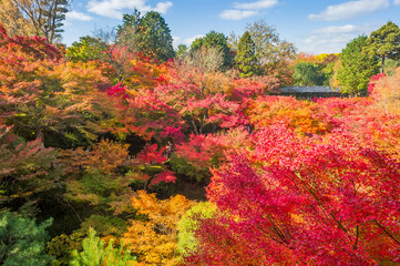Japan Autumn Itinerary